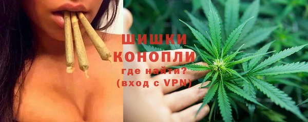 apvp Горнозаводск