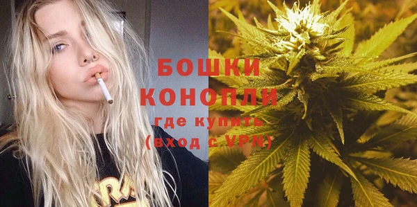 apvp Горнозаводск