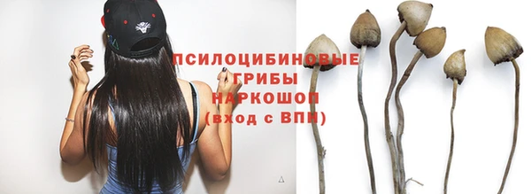 apvp Горнозаводск