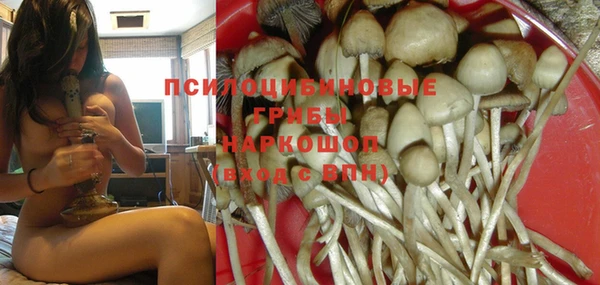 apvp Горнозаводск