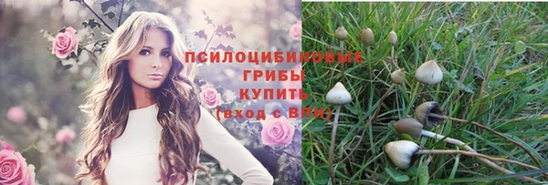 мдма Горняк