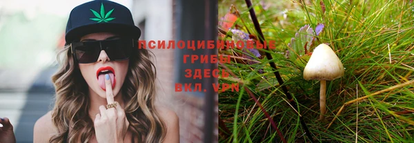 apvp Горнозаводск