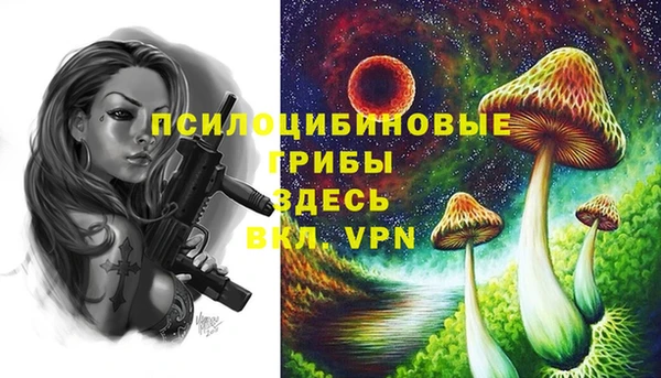 apvp Горнозаводск